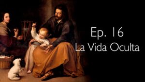 La Vida Oculta - Perseverancia