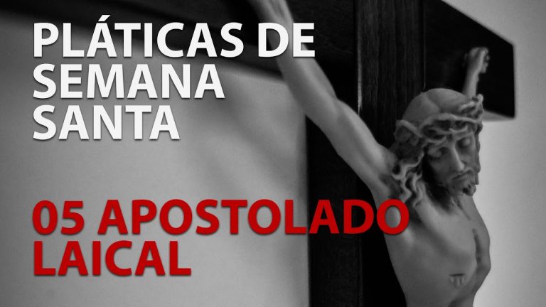 el apostolado laical