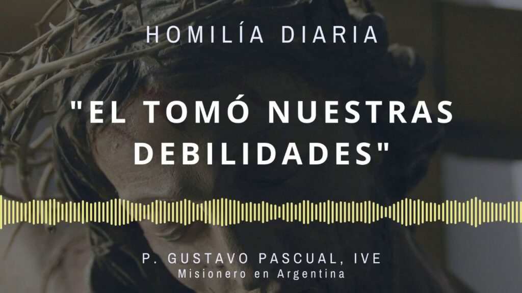 [Homilía Diaria] El tomó nuestras debilidades (Sábado XII de Tiempo Ordinario)