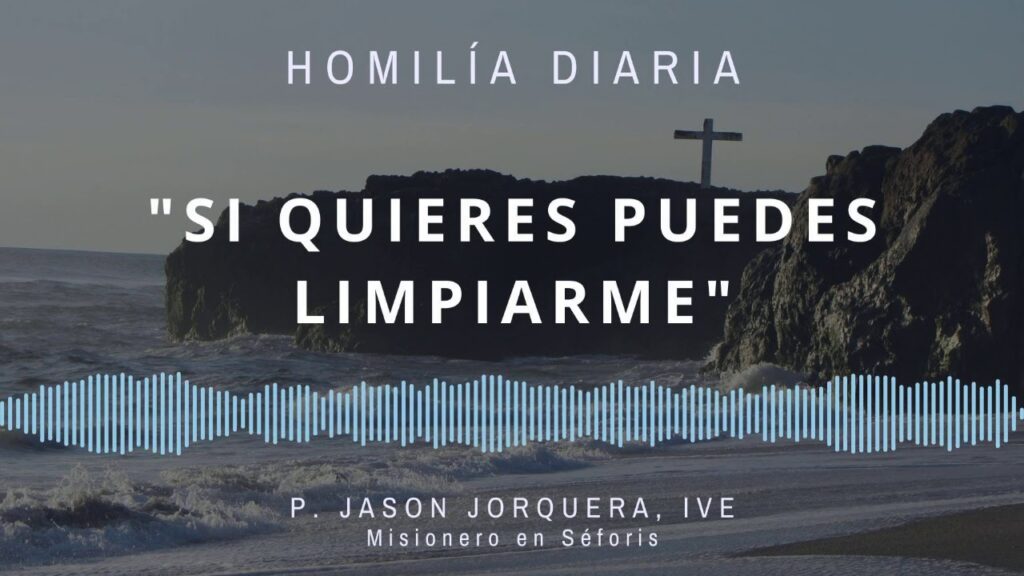 [Homilía Diaria] Si quieres puedes limpiarme (Viernes XII de Tiempo Ordinario)