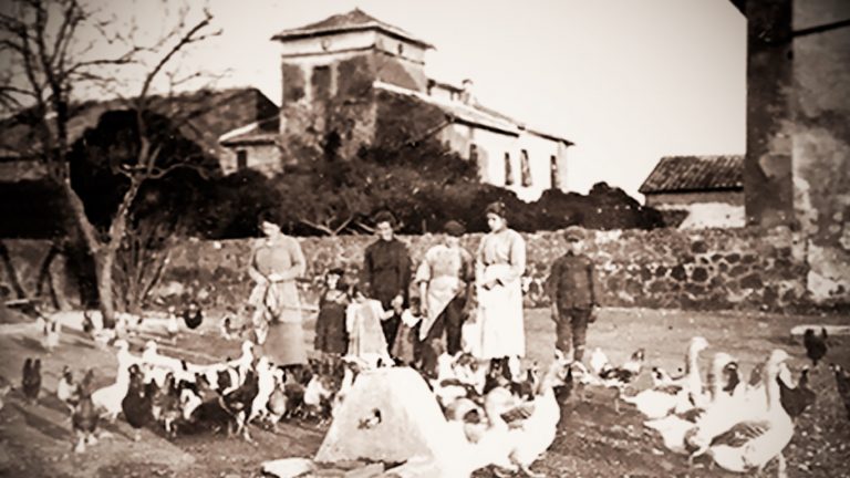 santa maria goretti