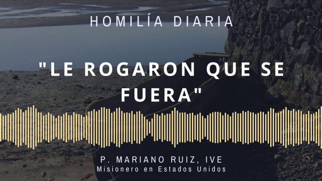 [Homilía Diaria] Le rogaron que se fuera (Miércoles XIII de Tiempo Ordinario)