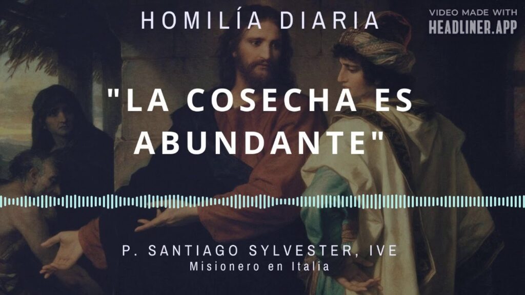 [Homilía Diaria] La cosecha es abundante (Martes XIV de Tiempo Ordinario)