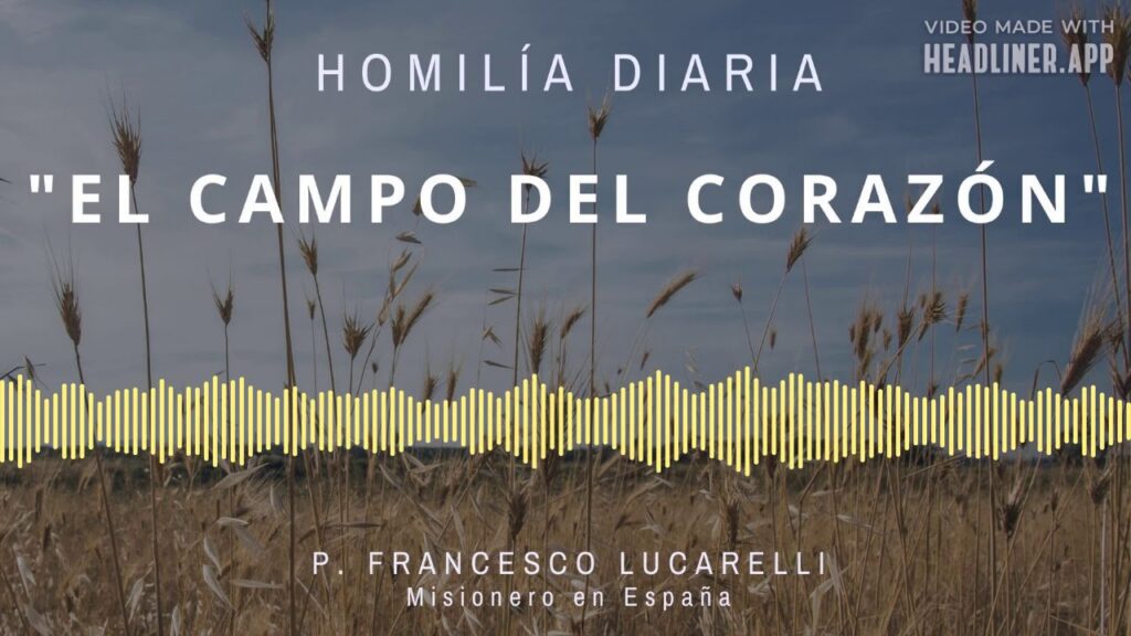 [Homilía Diaria] El campo del corazón (Martes XVII de Tiempo Ordinario)