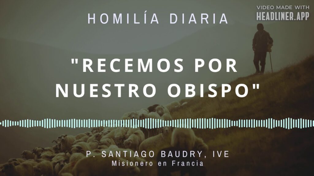 [Homilía Diaria] Recemos por nuestro obispo (Miércoles XIV de Tiempo Ordinario)