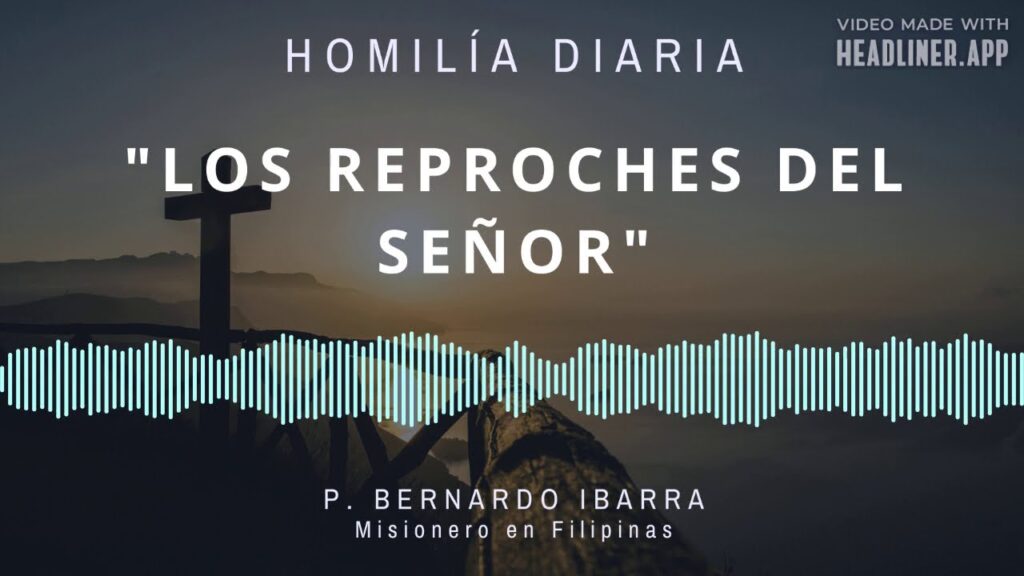 [Homilía diaria] Los reproches del Señor (Martes XV de Tiempo Ordinario)