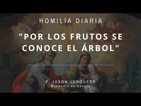 [Homilía Diaria] Por los frutos se conoce el árbol (Domingo XVII de Tiempo Ordinario)