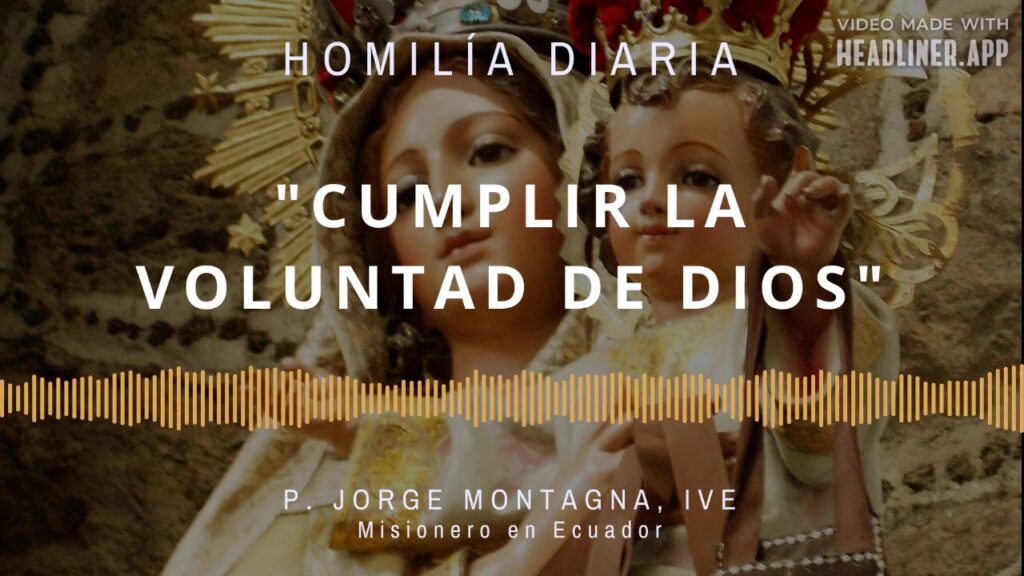 [Homilía Diaria] Cumplir la voluntad de Dios (Jueves XV de Tiempo Ordinario)