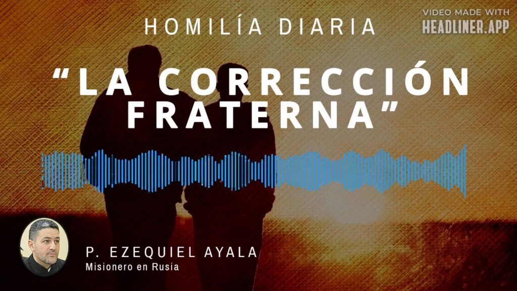 [Homilía Diaria] La corrección fraterna (Miércoles XIX de Tiempo Ordinario)