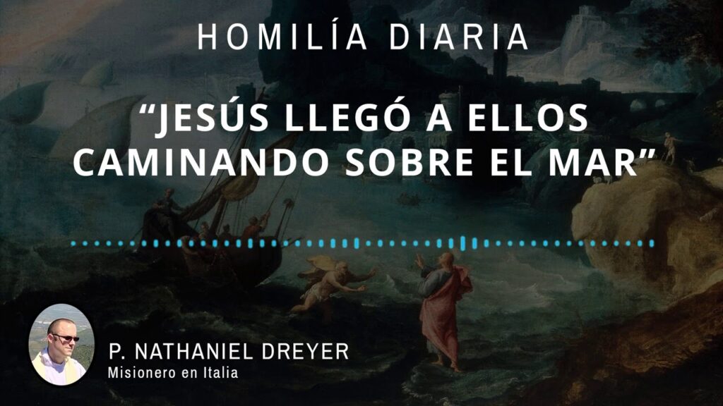 [Homilía Diaria] Jesús llegó a ellos caminando sobre el mar (Lunes XVIII de Tiempo Ordinario)