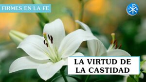 La Virtud de la castidad | Firmes en la fe - P Gabriel Zapata