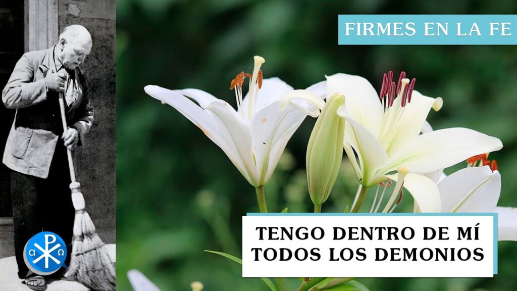 Tengo dentro de mí todos los demonios | Firmes en la fe - P Gabriel Zapata