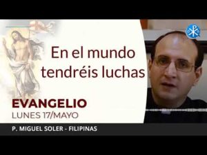 Evangelio de hoy lunes 17 de mayo de 2021 | En el mundo tendréis luchas