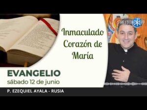 Evangelio de hoy, 12 de junio de 2021 | Inmaculado Corazón de María.