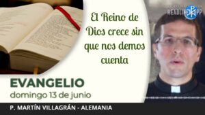Evangelio de hoy, 13 de junio de 2021| El Reino de Dios crece sin que nos demos cuenta.