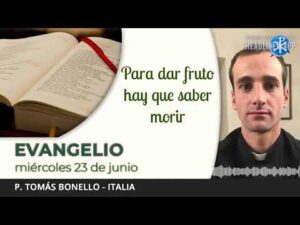 Evangelio de hoy, 23 de junio de 2021 | Para dar fruto hay que saber morir.