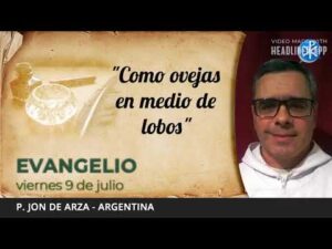 Evangelio de hoy, 9 de julio de 2021 | "Como ovejas en medio de lobos".