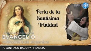 Evangelio de hoy, 08 de diciembre | Perla de la Santísima Trinidad