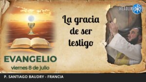Evangelio de hoy, 8 de julio de 2022 | La gracia de ser testigo