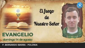 Evangelio de hoy, 14 de agosto de 2022 | El fuego de Nuestro Señor
