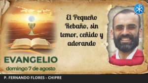 Evangelio de hoy, 7 de agosto de 2022 | El Pequeño Rebaño, sin temor, ceñido y adorando