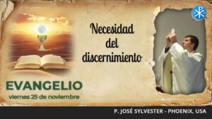 Evangelio de hoy, 25 de noviembre de 2022 | Necesidad del discernimiento