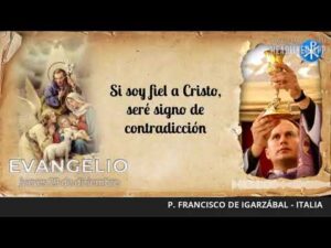 Evangelio de hoy, 29 de diciembre de 2022 | Si soy fiel a Cristo, seré signo de contradicción