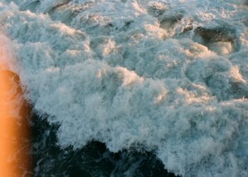 Cortar de raiz con lo que estorba – San Francisco de Sales