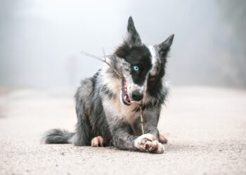 Para examinarnos con sinceridad… – Mons. Fulton J. Sheen