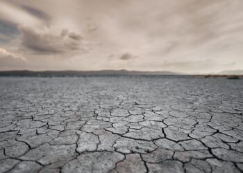 Aprendiendo a hablar con Dios (3 de 3) – San Francisco de Sales