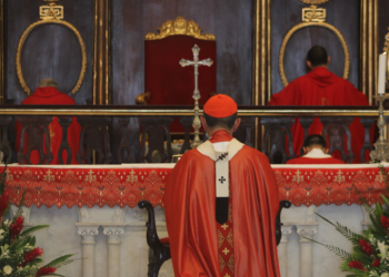 ¿Puede un Cardenal ser hereje? – Thomas J. Paprocki