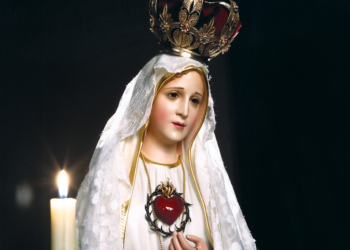 Llamada a la devoción al Inmaculado Corazón de María