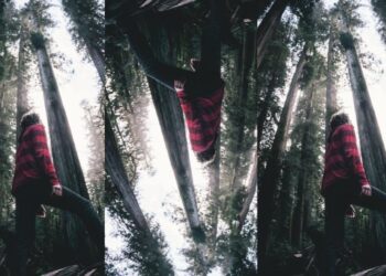 HACER EL BIEN Y EVITAR EL MAL – Catecismo de la Iglesia Católica nº1776-1794