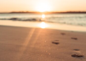 Seguir las huellas de Cristo – Catecismo de la Iglesia Católica nº 2012-2016