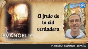 Evangelio de hoy, 10 de mayo de 2023 | El fruto de la vid verdadera