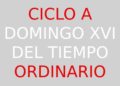 23 de julio – XVI Domingo del Tiempo Ordinario – CICLO A