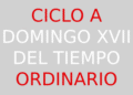 30 de julio – XVII Domingo del Tiempo Ordinario – CICLO A