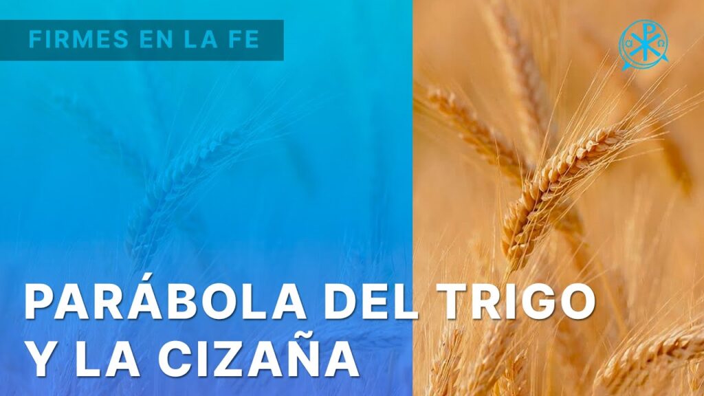 Parábola del trigo y la cizaña | Firmes en la fe - P. Gabriel Zapata