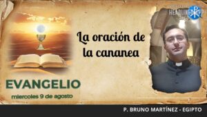 Evangelio de hoy, 9 de agosto de 2023 | La oración de la cananea