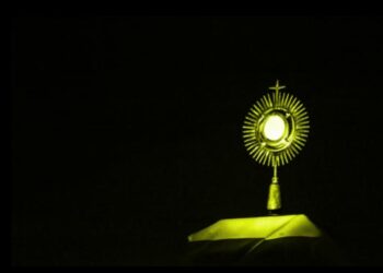 La idea que tenemos de nosotros mismos (9 de 10) – P. Miguel A Fuentes, IVE