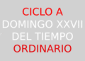 8 de octubre – XXVII Domingo del Tiempo Ordinario – CICLO A
