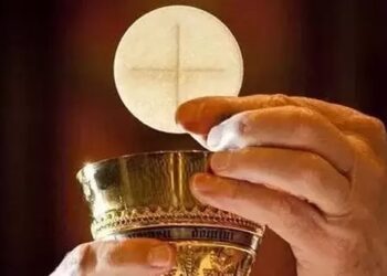 Cristo nos transforma en Él