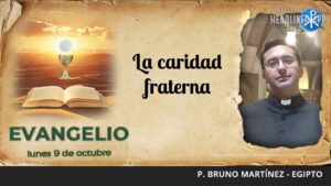 Evangelio de hoy, 9 de octubre de 2023 | La caridad fraterna