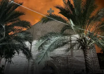 [15 Noviembre] Situación de la Iglesia Católica en Gaza – P. Gabriel Romanelli, IVE Párroco de Gaza