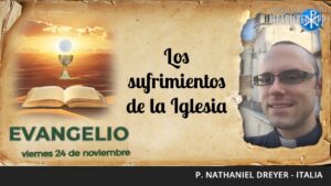 Evangelio de hoy, 24 de noviembre de 2023 | Los sufrimientos de la Iglesia