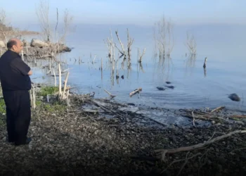 Cristo calmará la tormenta – Cristianos en Gaza – P Gabriel Romanelli