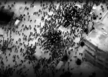 Que no falte el Pan [2 Mar] – Cristianos en Gaza