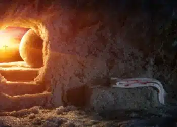 La nueva vida – Santo Tomás de Aquino