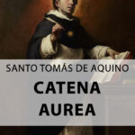 Biblioteca Voz Católica