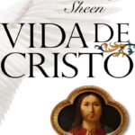 Biblioteca Voz Católica
